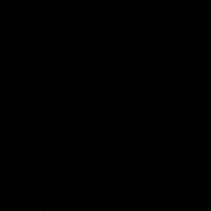 Meet your Posher, Dina